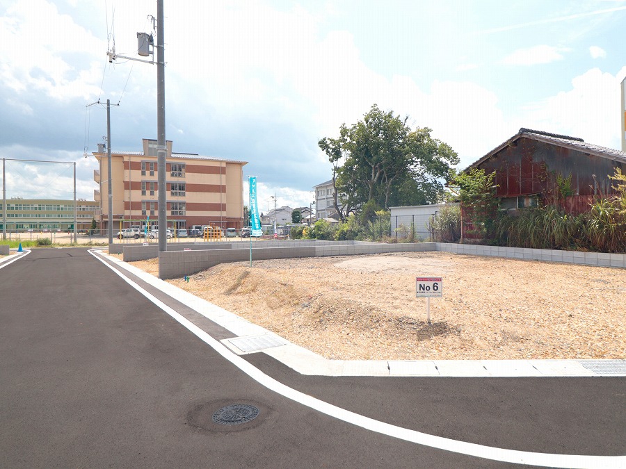 6号地